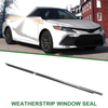 Toyota Camry Rear Left Weatherstrip Window Seal (2007-2011)
