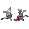 Kawasaki Z900 Aluminum Gray Rear Footpegs (2021-2023)