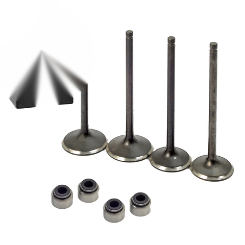 Polaris Predator 500 / Outlaw 500 Head Intake Exhaust Valves Seals (03-07)