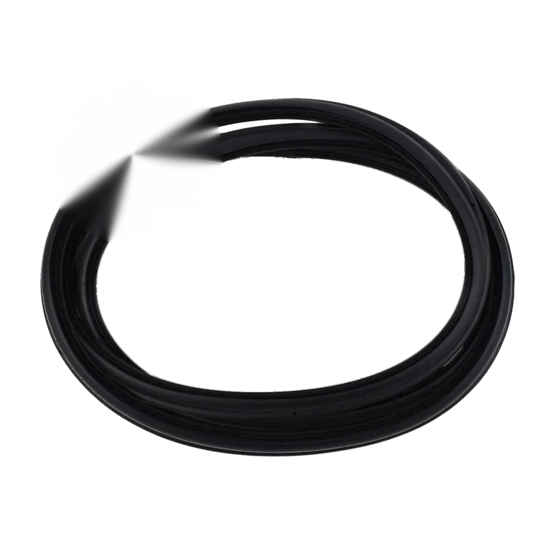 Door Trim Rubber Pair Fits Mazda B2200 Bravo Ford Courier no Cab UTE 1999-06 D06