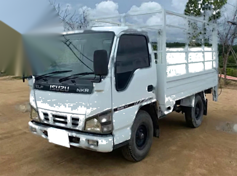 Isuzu ELF NPR NKR Left Side Corner Light 12V (2004-2006)