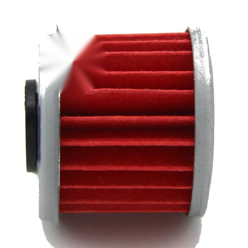 Polaris Hawkeye 325, Ranger 325, Sportsman ACE 325 Oil Filter (2004-2018)