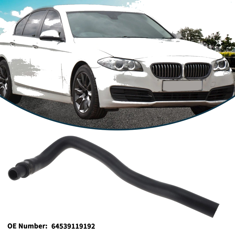 BMW 535i Base 3.0L Radiator Hose (2011 - 2016)