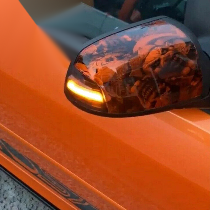 Ford Focus Dynamic Side Mirror Turn Signal Lights (2004–2008)