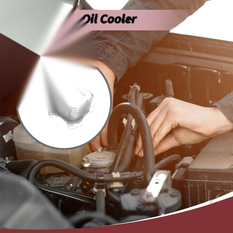 Ford EcoSport 1.5 TDCi Engine Oil Cooler (2015-2019)