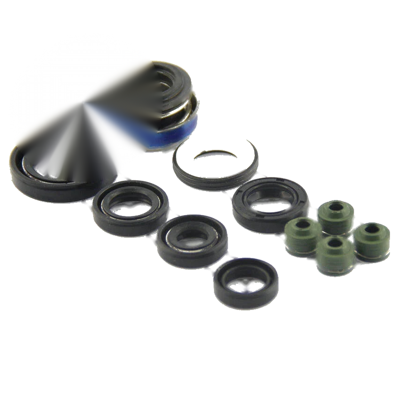 Honda VT125C Shadow, XL125V, XLV125 Varadero Engine Oil Seal Set (1999-2010)