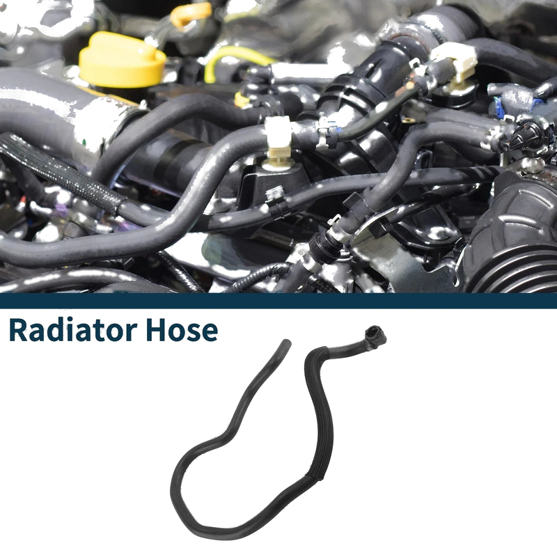 BMW 530i 2.0L Gas Radiator Hose (2017-2020)