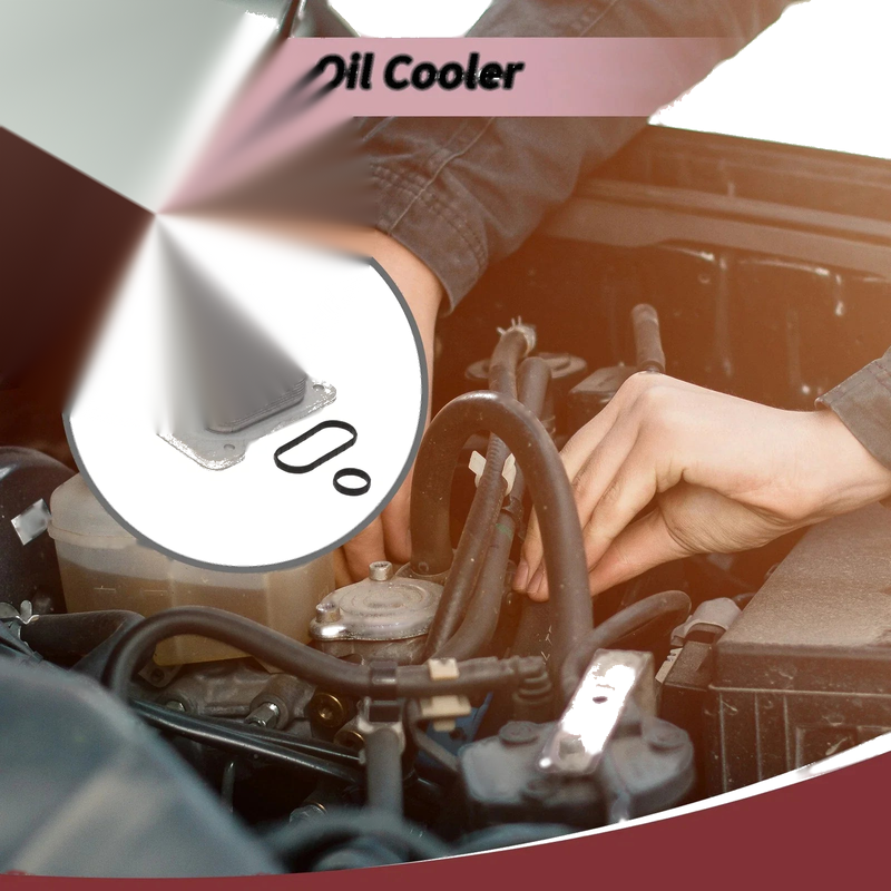 Nissan Rogue 2.5L L4 Engine Oil Cooler (2015-2016)