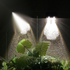 YH0616 Waterproof Outdoor Wall Lamp LED Solar Light