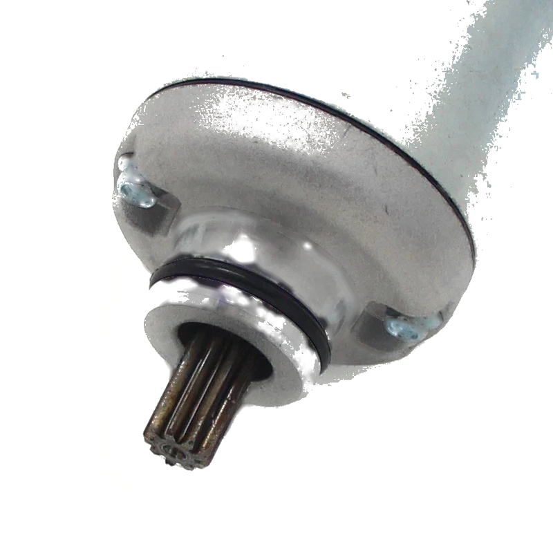 Benelli Adiva 150 Starter Motor (2001)