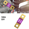 Automotive Marine Audio Video System Gold Tone AMI Fuse 32V Bolt-on