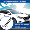 Nissan Murano Rear Tailgate Power Lift Support (2015-2021)