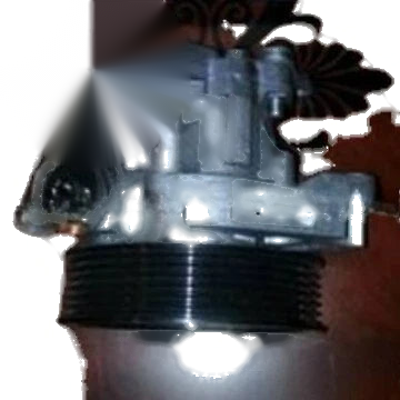 BMW X5 E53 Power Steering Pump (2004–2006)