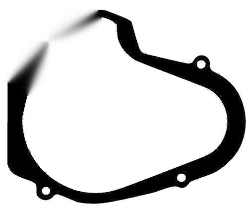 Suzuki LT250R Quadracer Stator Flywheel Gasket (1985–1987)