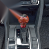 Car Manual Shifter 5-Speed Universal Auto Gear Shift Knob (All Years)