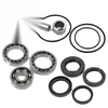 Honda FourTrax 300 Rear Diff Bearings Seals Kit
