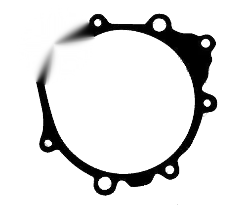 Yamaha TTR250 Stator Cover Gasket (1999–2006)