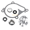 Kawasaki Prairie 700 KVF700 Water Pump Impeller Bearing Seals (2004-2006)