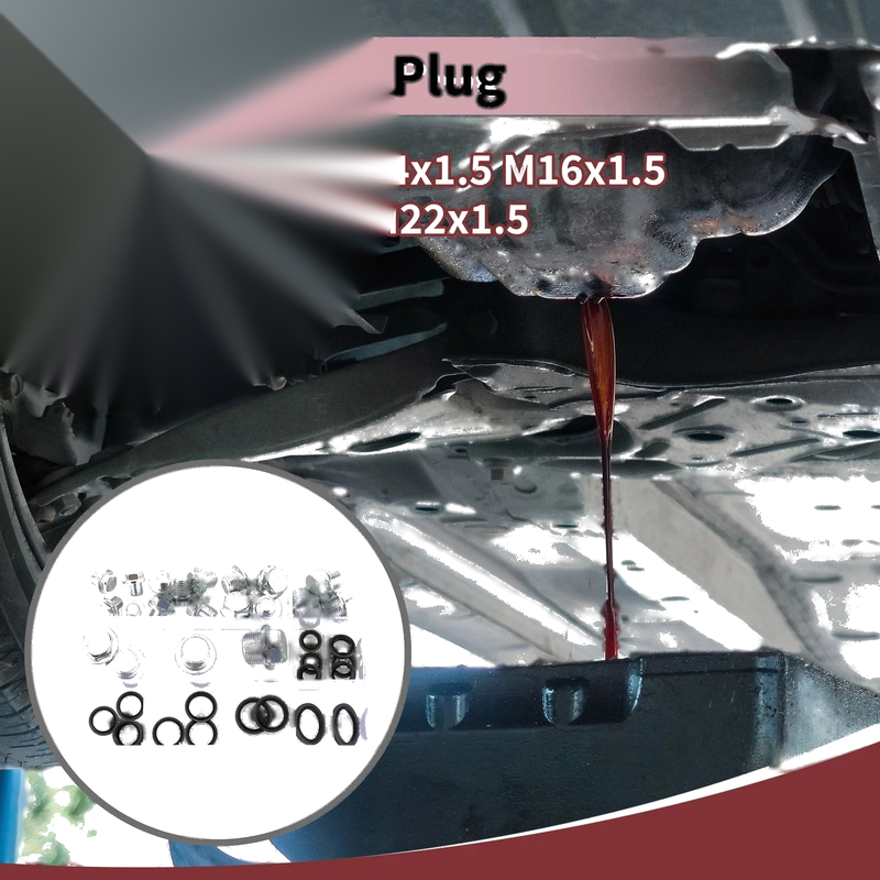 Car Motorcycle Boat Set M10x1 M12x1.5 Engine Oil Drain Plug with Gasket