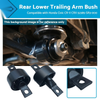 Honda CR-V, Civic, CRX Rear Lower Trailing Arm Bushings