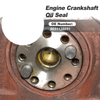 Toyota 4Runner Engine Camshaft Seal 1 pc (1996–2002)