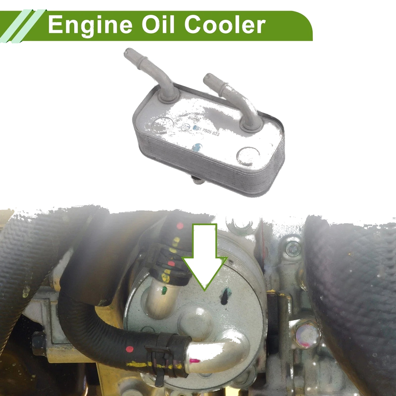 BMW 540i Engine Oil Cooler & Transmission Oil Cooler