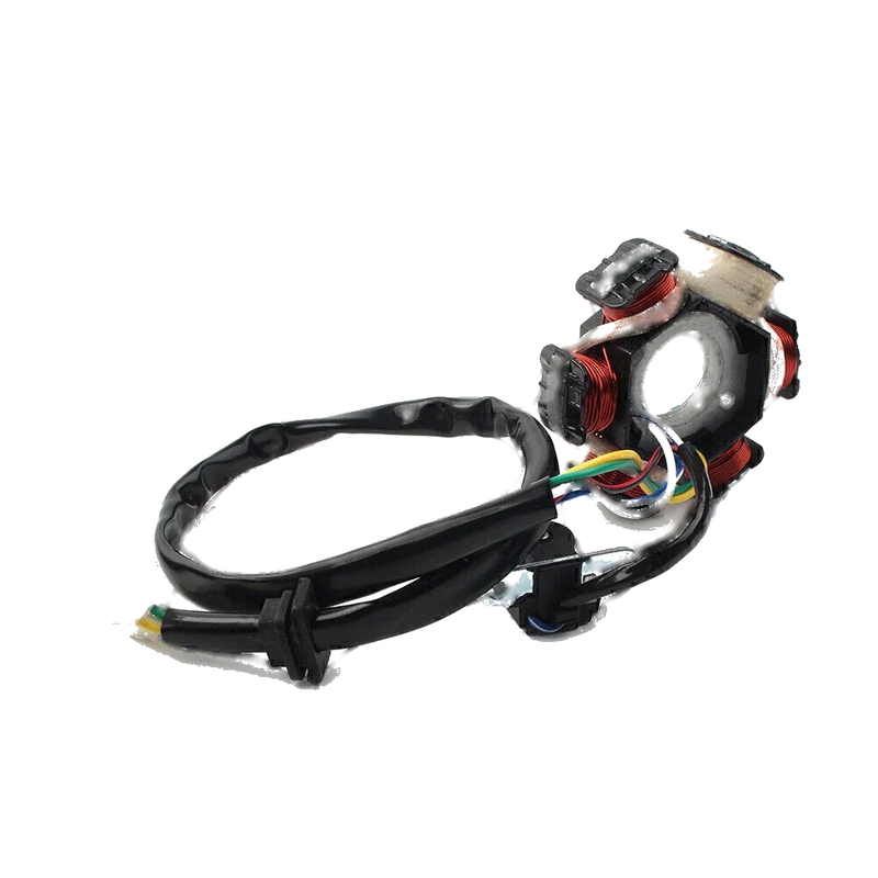 GY6 50 110 150cc Scooter Moped Go Kart ATV 6-Coil Stator Magneto (2000-2023)