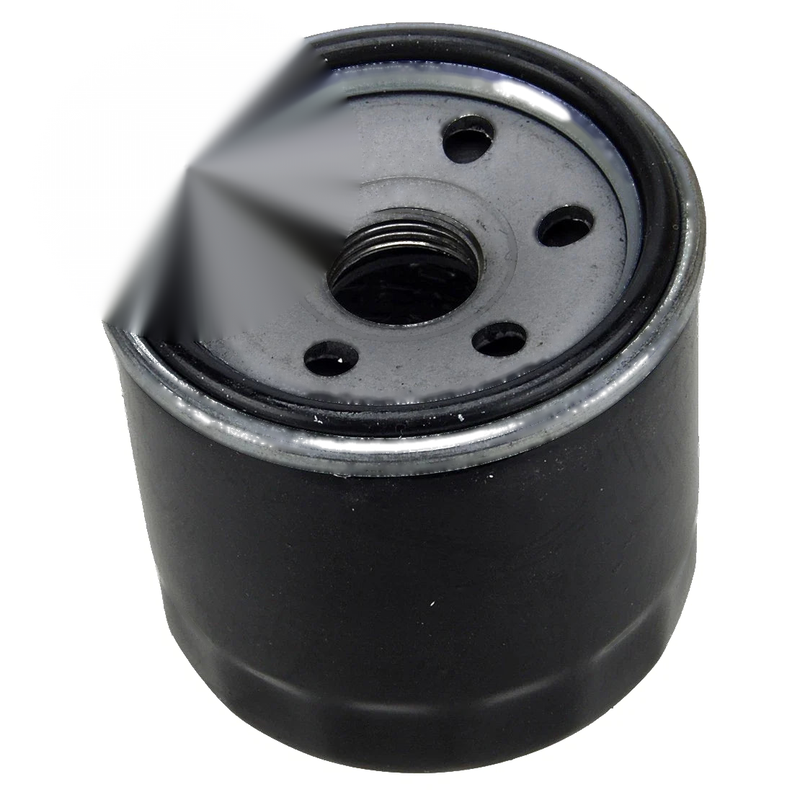 Hisun 700 500 400 Massimo Bennche Coleman Fuel Filter (2015-2023)