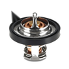 Polaris Ranger 900 Crew Thermostat w/ O-Ring (2013–2019)