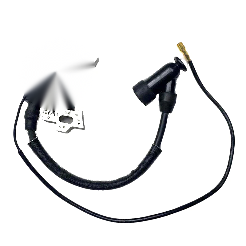 Einhell BG-PM 51 S HW GTR-E Ignition Coil Spark Plug Kit