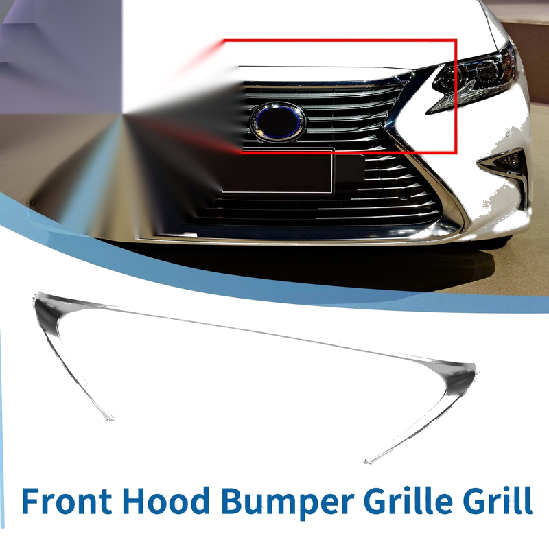 Lexus ES 300h Grille Trim (2013-2018)