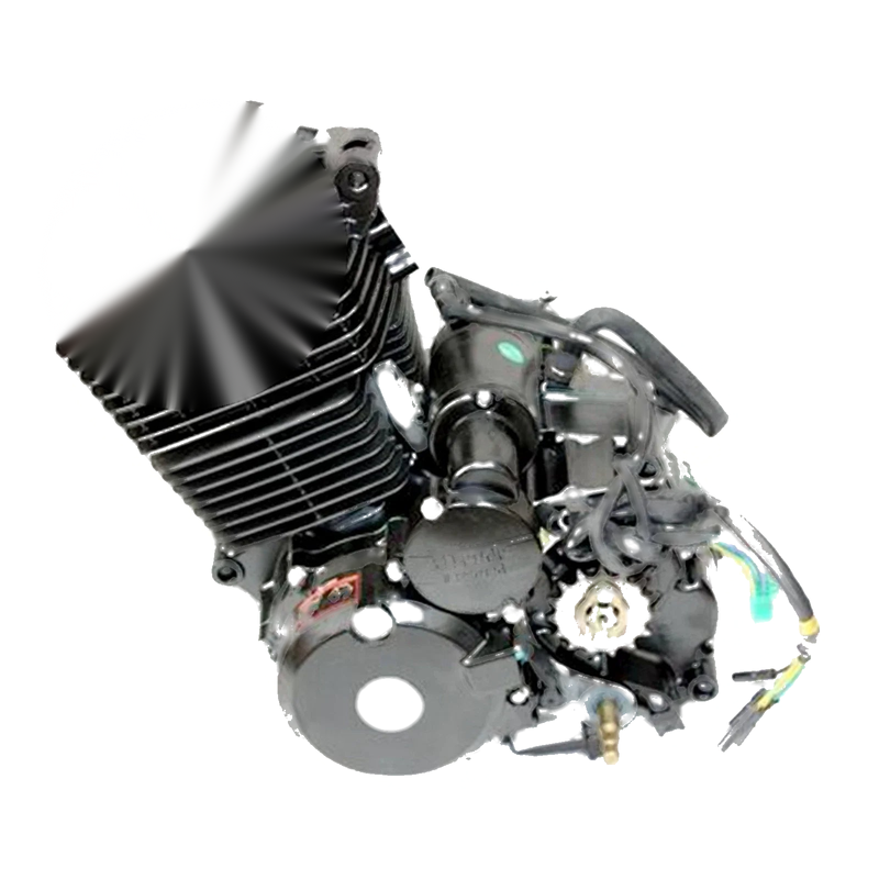 Shineray PIT DIRT BIKE 250cc Manual Engine Motor + Wiring Kit + Carb