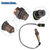 Mercedes-Benz C32, Chrysler O2 Oxygen Sensor (2002-2004)