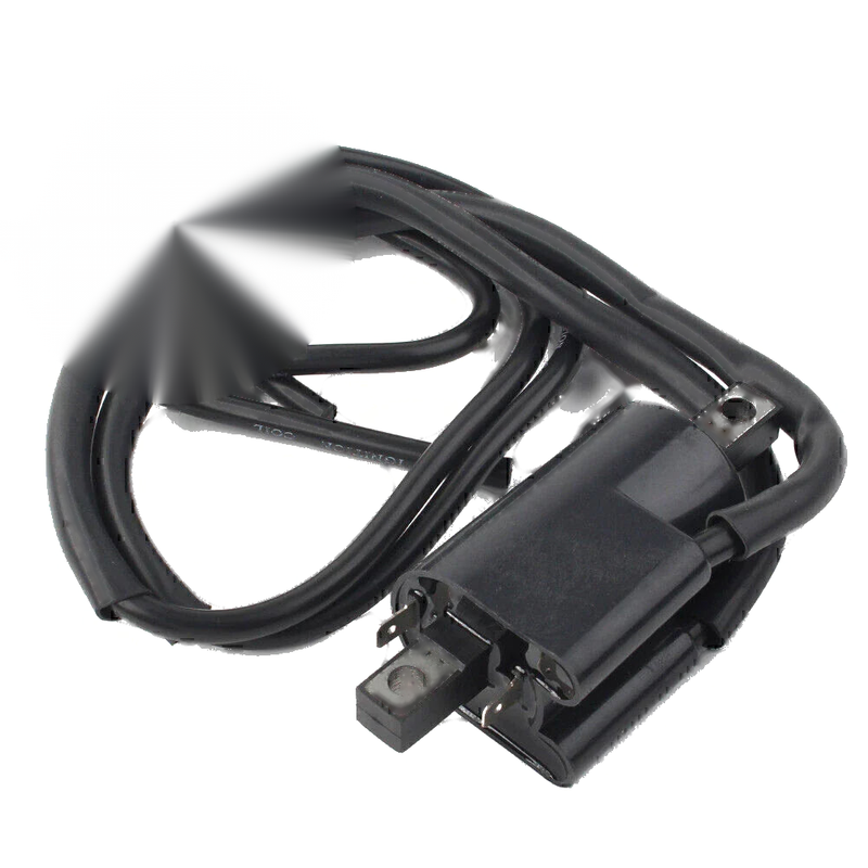 Sea-Doo PWC GS GSI GSX LE GTS GTX LTD SP SPX XP Ignition Coil (1996-2004)