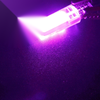 Car 12V Bulbs 50 x T10 COB Pink LED License Plate Lights (194, 168, W5W)