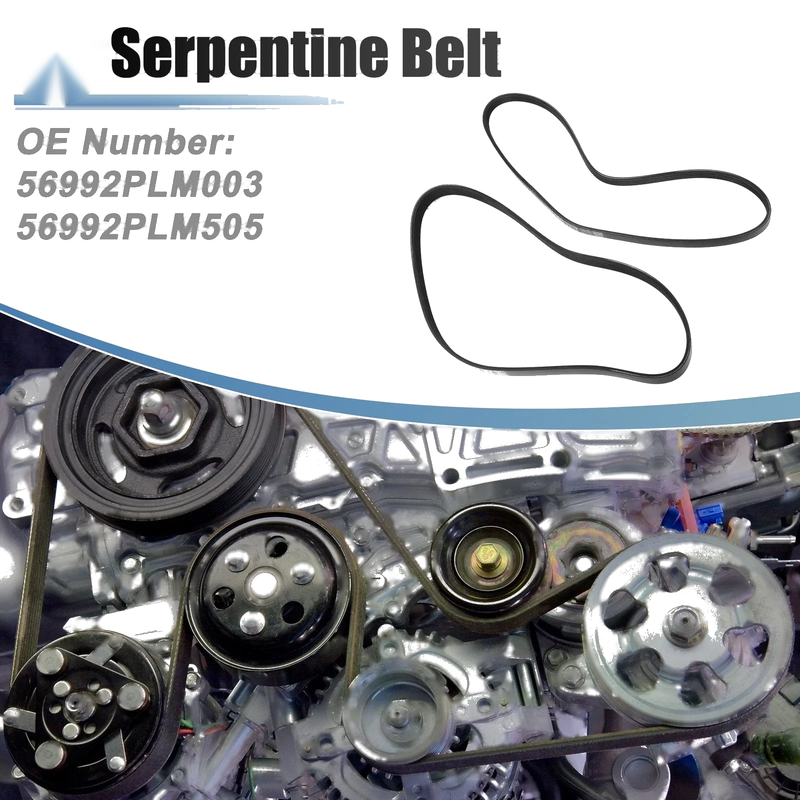 Honda Civic Serpentine Belt (2001-2005)