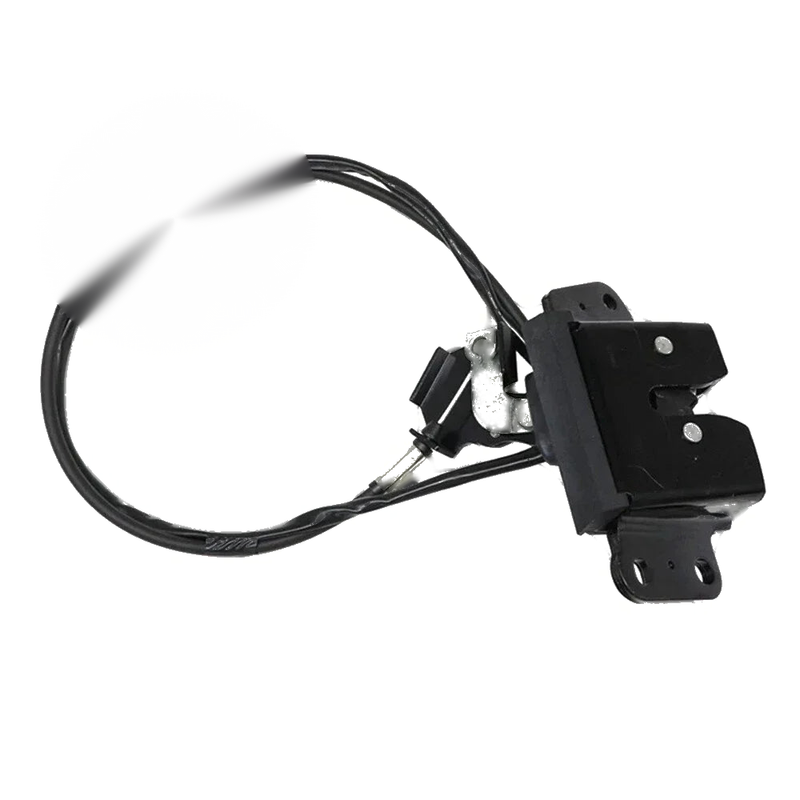 1996-2002 Toyota 4Runner Rear Hatch Door Latch Lock (1996-2002)