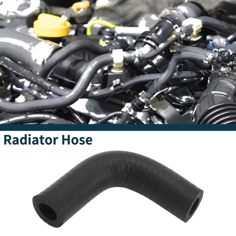 Buick Century Radiator Hose 3.1L (2003–2005)