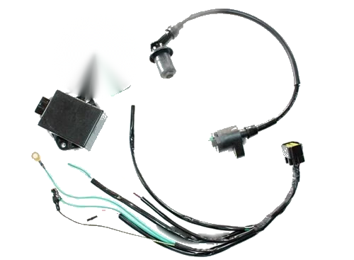 LIFAN W150 150cc Dirt Bike Magneto Stator Wiring Harness Loom