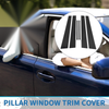 Lexus ES (2002-2006) Black 6 Pcs Door Pillar Window Trim