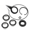 Honda TRX250X / Sportrax 250 Rear Axle Brake Drum Bearing Seals Kit