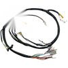 Kawasaki Bayou 300 KLF300A Wiring Harness (1986–1987)