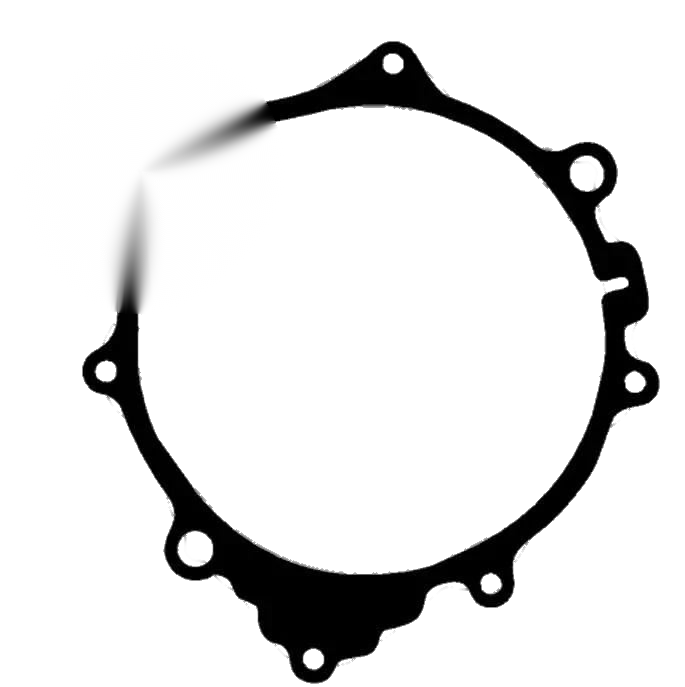 Yamaha TT-R250 TTR250 TT-250 MG Stator Cover Gasket (1999–2006)