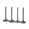 Honda CRF450R Intake & Exhaust Valve Set With Seals (2002–2006)