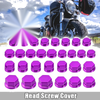 Motorcycle Motorbike Purple Set Screw Cap