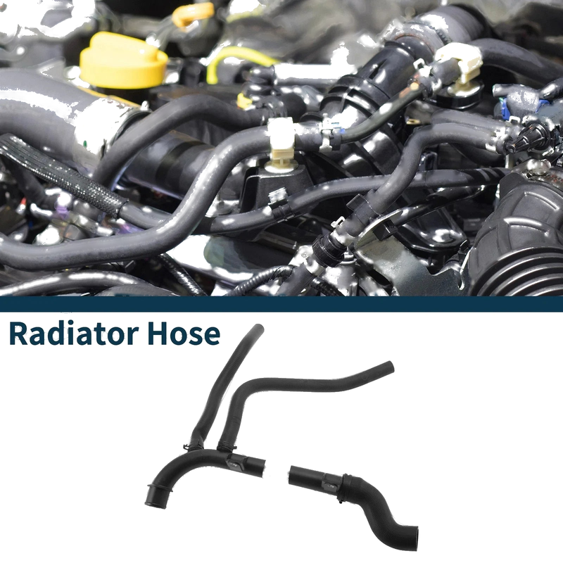 Buick Excelle Radiator Hose (2004-2010)