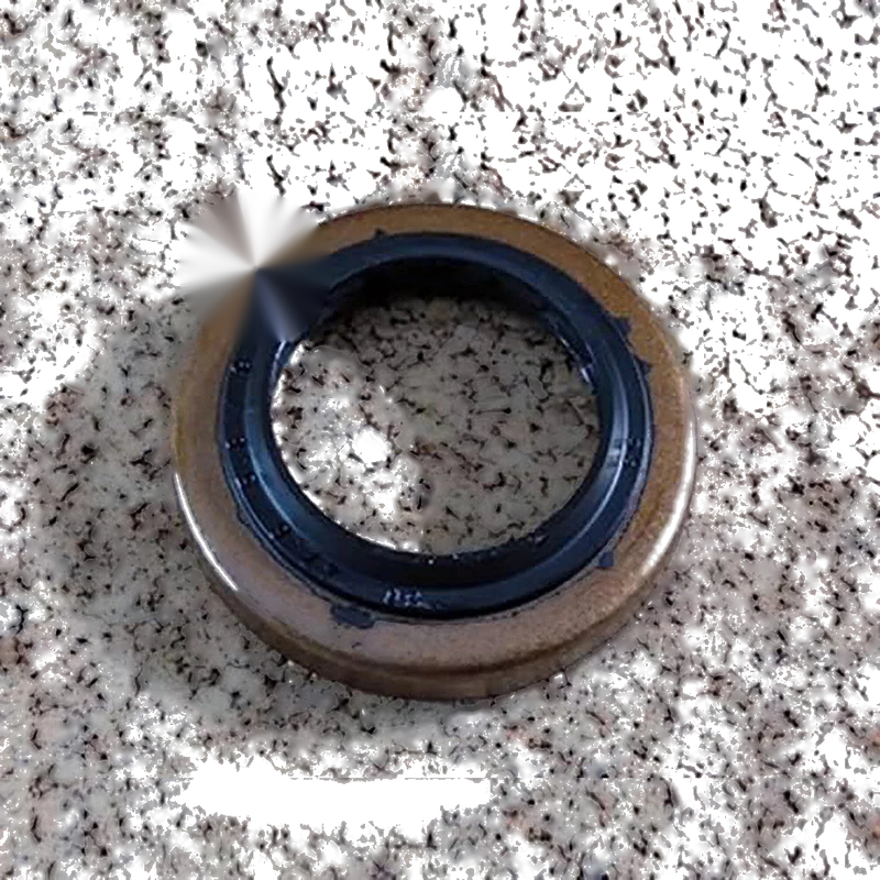 Land Rover Discovery Range Rover Evoque Drive Shaft Gasket (2012-2019)