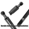 Ford F-150 Tailgate Lift Support Gas Spring Set (2015-2020)