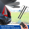 Land Rover Range Rover Evoque Rear Tailgate Lift Support (2012-2020)