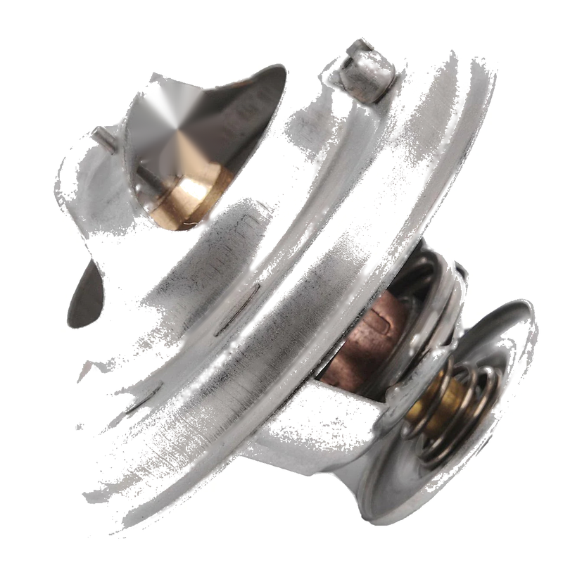 Audi TT A3 A4 A6 A8 VW Passat Thermostat (1996-2006)
